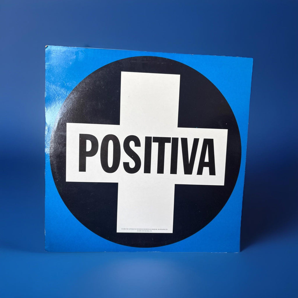 The Purple Kings That's The Way You Do It 12" vinyl record 1994 house Positiva