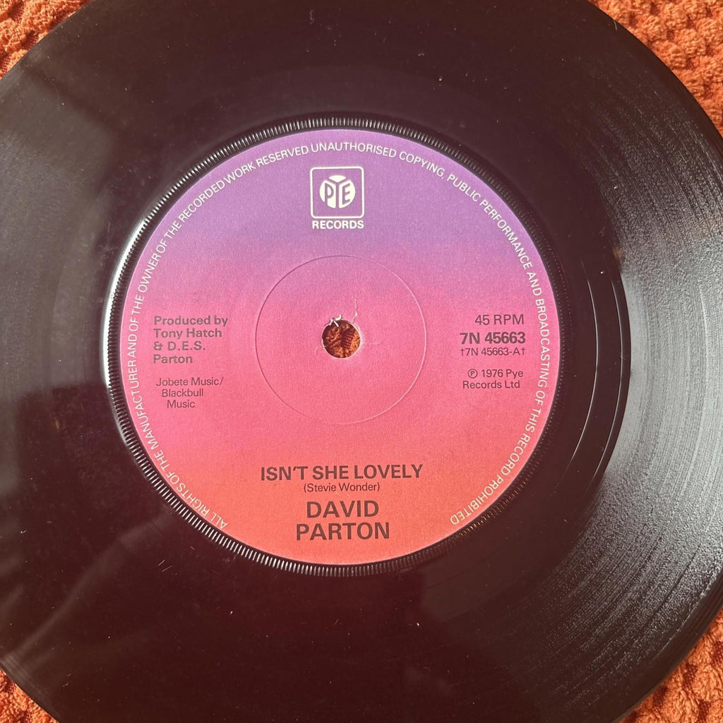 David Parton 7” Vinyl Single Isn't She Lovely Soul/Funk, UK (stevie Wonder)