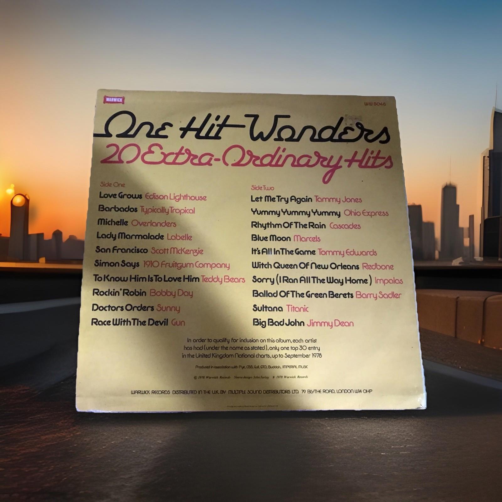Amazing Compilation - One Hit Wonders 20 Extra-Ordinary Hits 1978 LP Vinyl