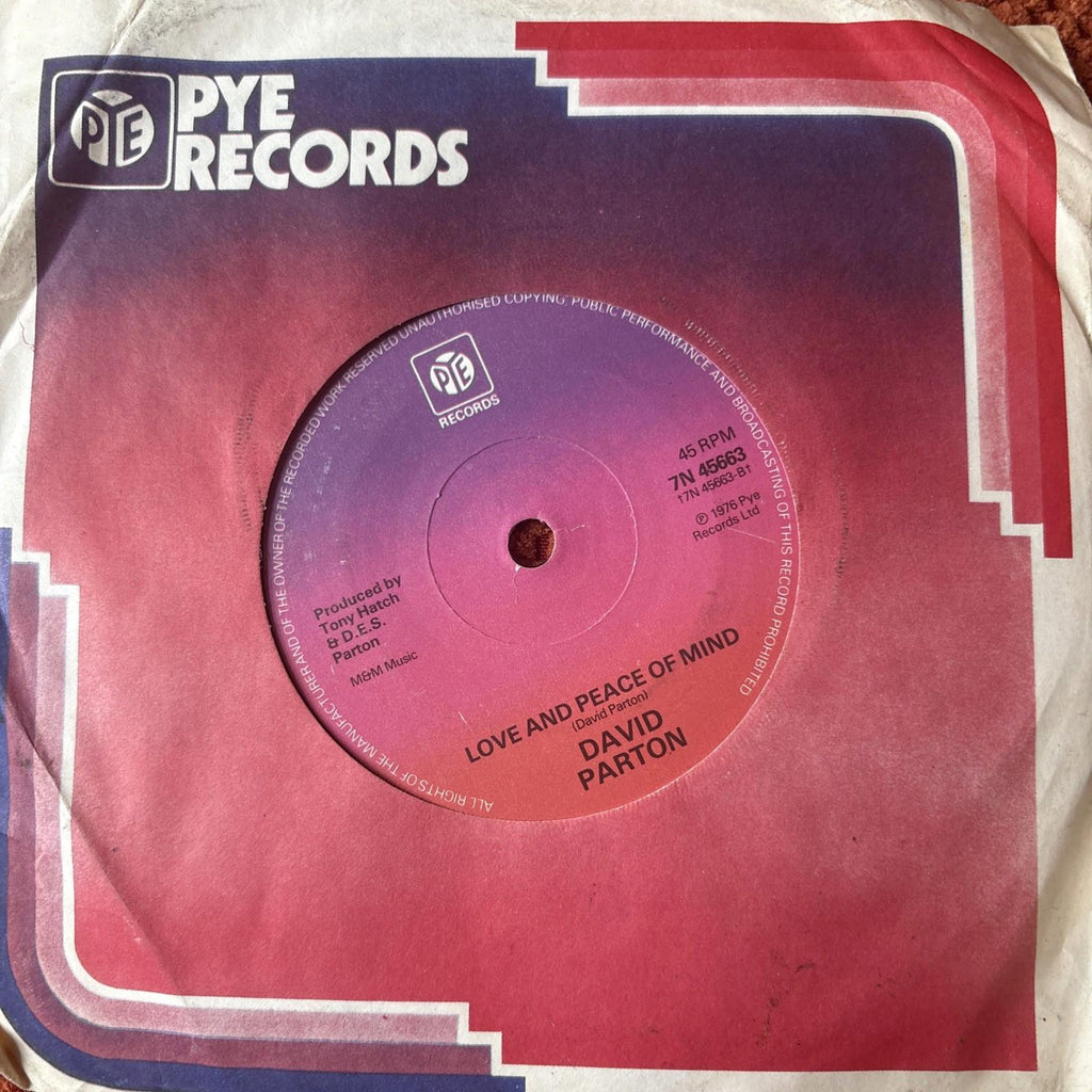 David Parton 7” Vinyl Single Isn't She Lovely Soul/Funk, UK (stevie Wonder)