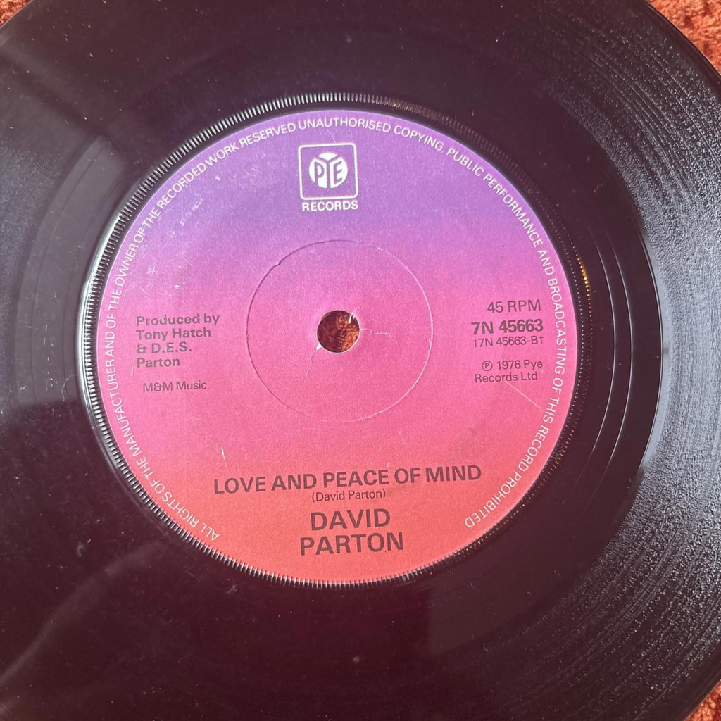 David Parton 7” Vinyl Single Isn't She Lovely Soul/Funk, UK (stevie Wonder)