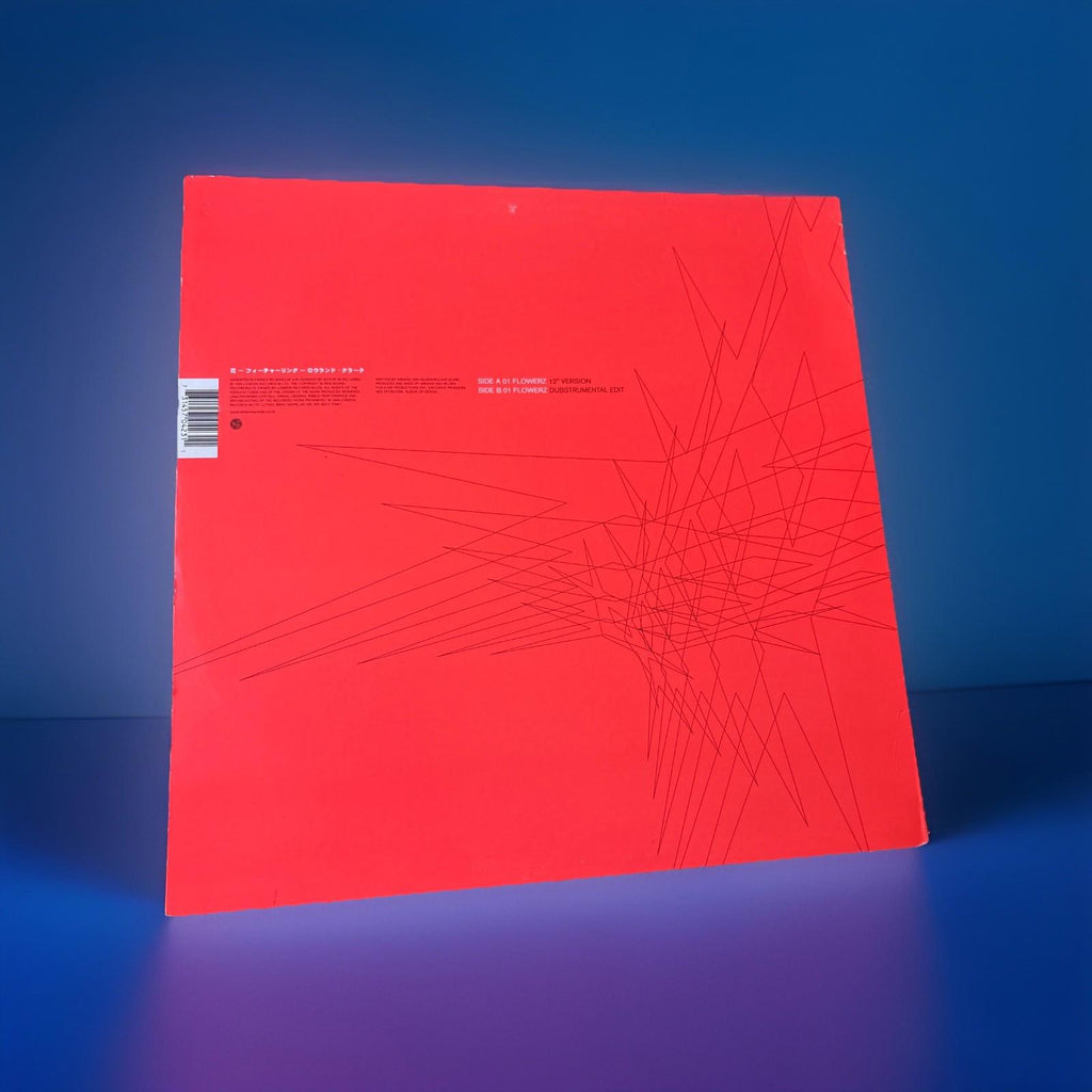 Armand Van Helden - Flowers - 12” Vinyl House Dance Record Excellent