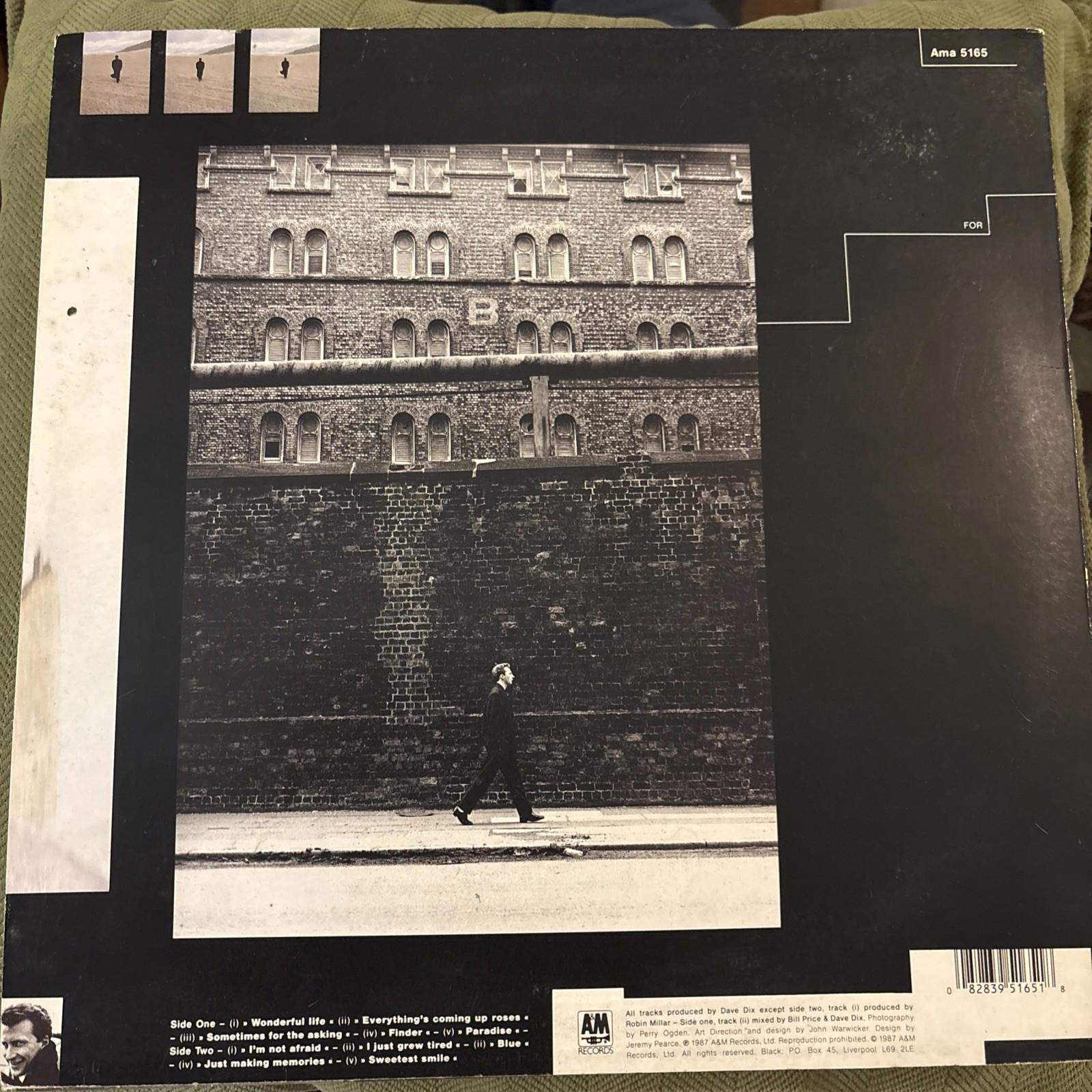 Black Wonderful Life Vinyl Record VG+/G+ AMY402 1987